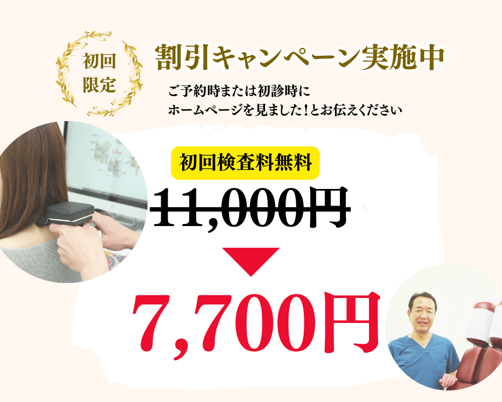 アップルカイロ